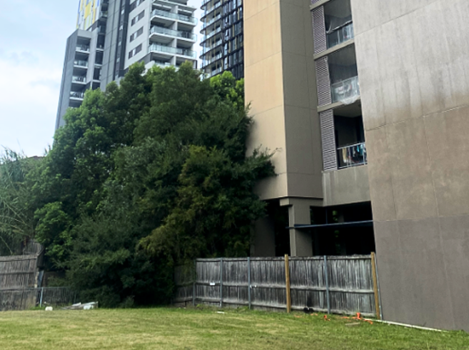 Novus Build-To-Rent Development in Parramatta Granted Conditional Approval