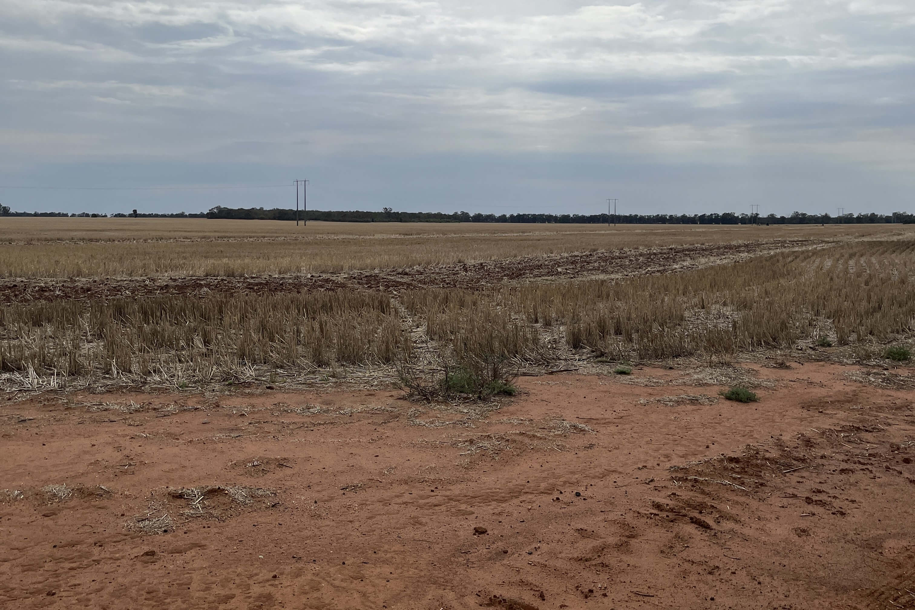 Burroway Solar Farm site